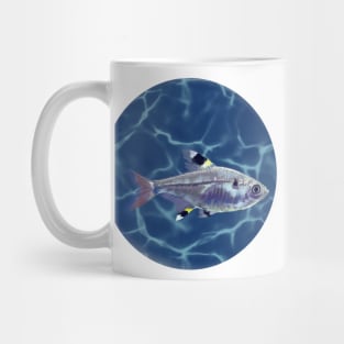 X-Ray Tetra Mug